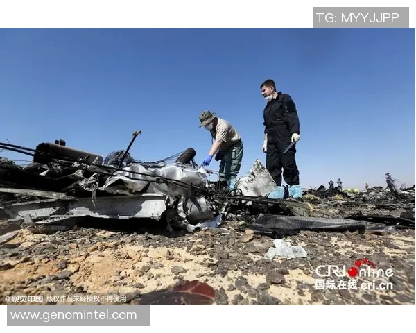 俄罗斯与埃及比赛裁判的公正性与争议分析