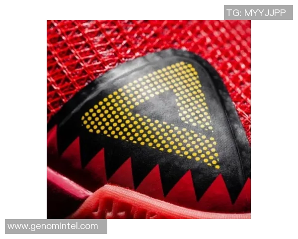 罗斯10与匹克的篮球对决谁将赢得最终荣耀分析与预测