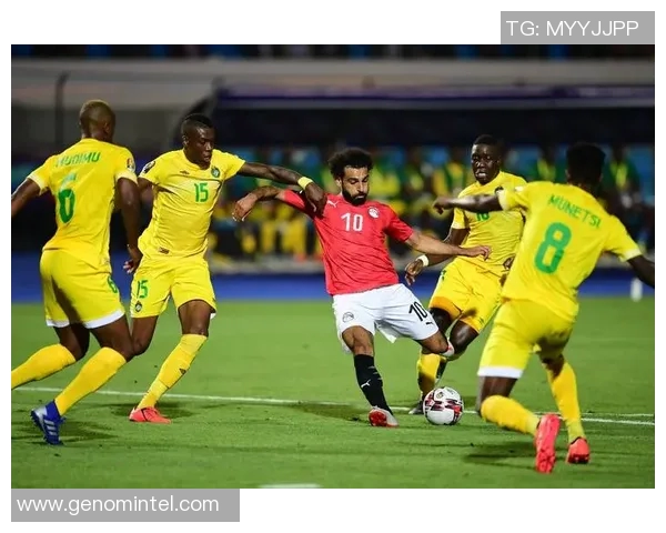 埃及与津巴布韦的足球对决分析及历史交锋回顾