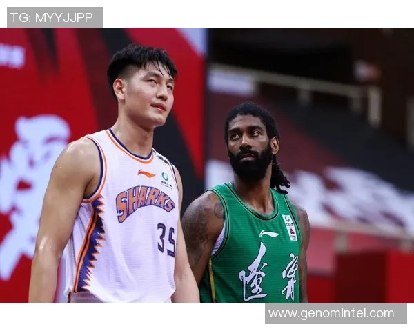 北部流浪与南霍巴特的精彩对决分析与赛季展望