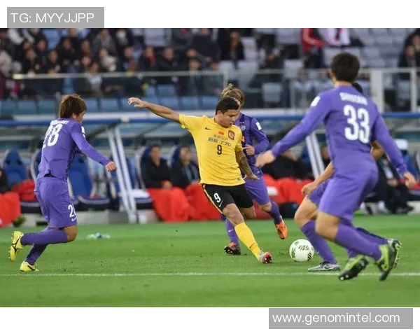 广岛队主场迎战金泽队期待精彩对决与精彩进球