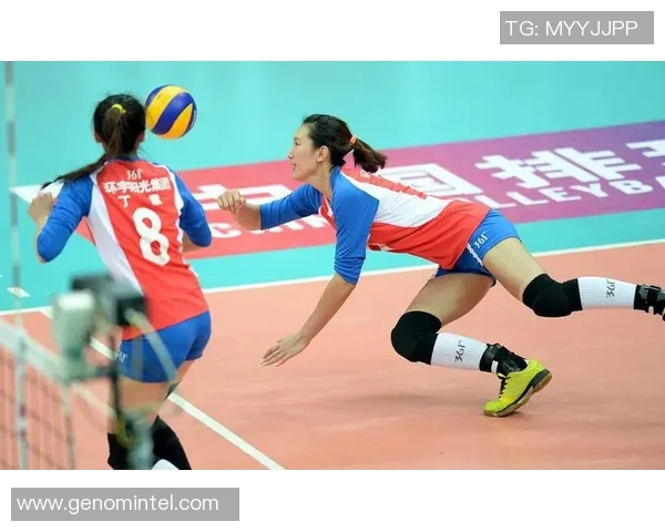 浙江队对决米纳斯队激情四溢的排球盛宴即将上演 浙江队对决米纳斯队激情四溢的排球盛宴即将上演